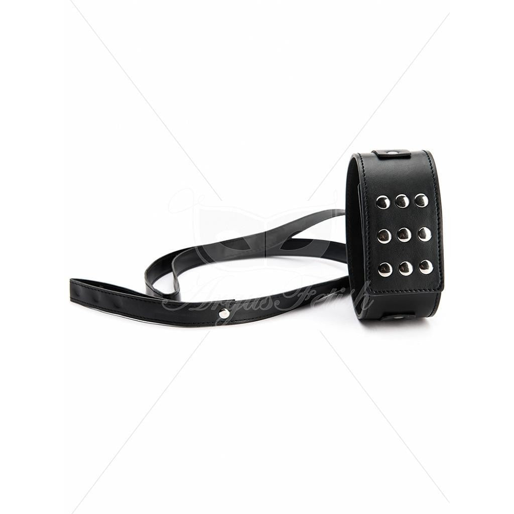 ARGUS TOYS RIVET COLLAR WITH LEASH BLACK