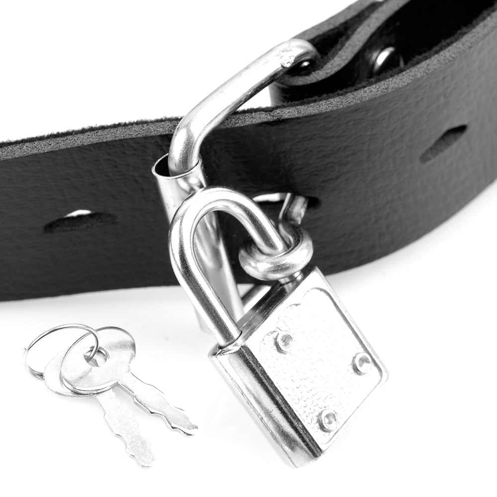 DELUXE BALL GAG WITH DILDO