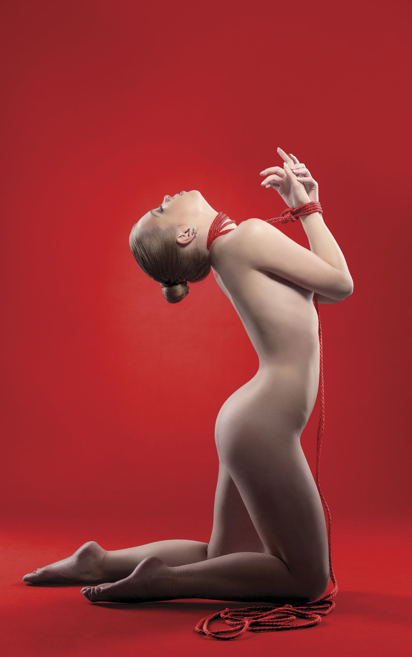 KINBAKU RESTRICTION ROPE 10 METERS RED