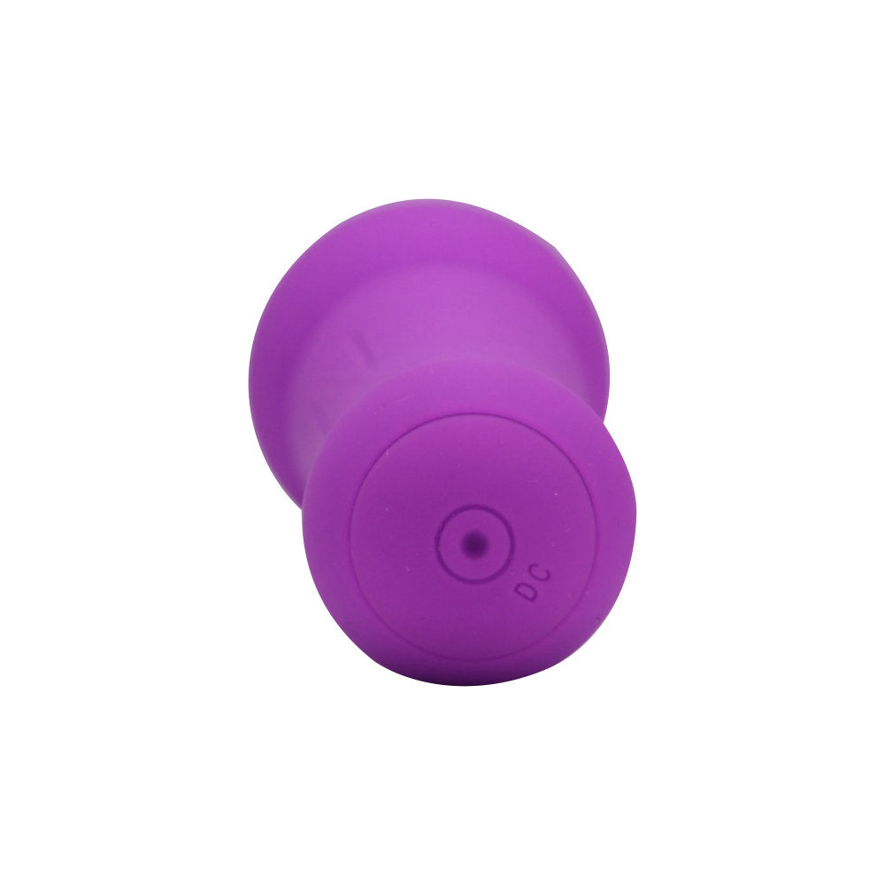 VIVA 20 Function Magic Wand Vibrator