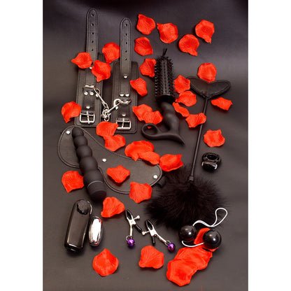 TOYJOY AMAZING PLEASURE SEX TOY KIT